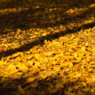 原来这都是我的错