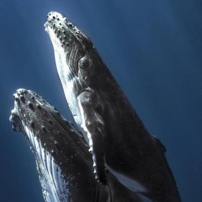 多久没为你演奏